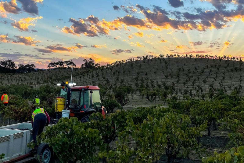 Featured producer secondary image