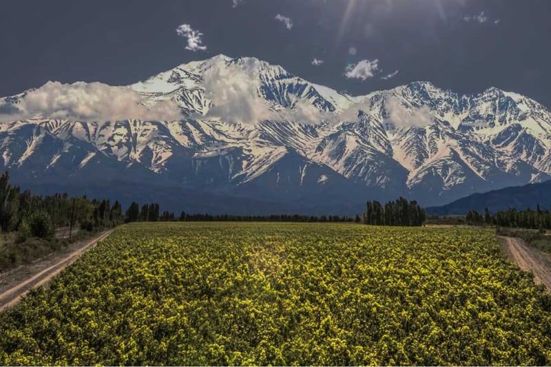 Featured producer secondary image