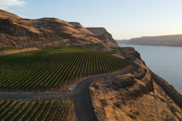 Featured producer secondary image