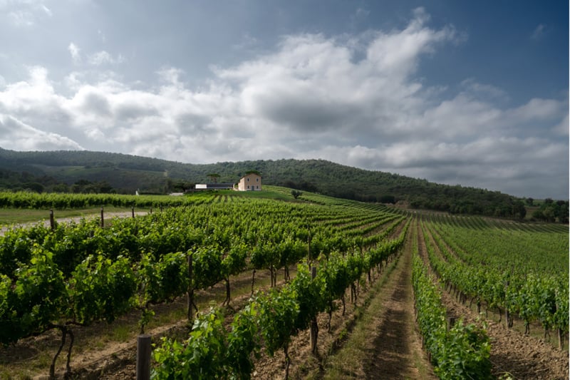 Featured producer secondary image